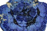 Vivid Blue, Cut/Polished Azurite Nodule Slice - Siberia #209475-1